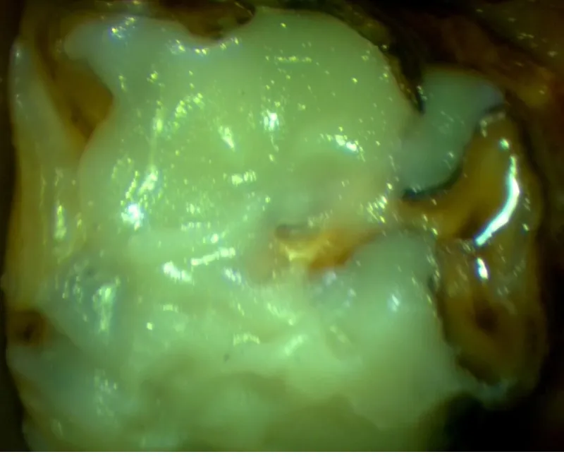 Diagnostics & Treatment