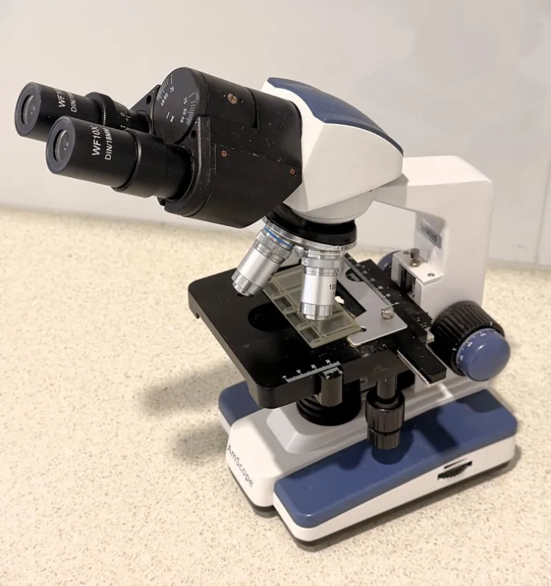 There is a recommendation to worm less these days, do I need to deworm my horse? Are parasites really a problem?