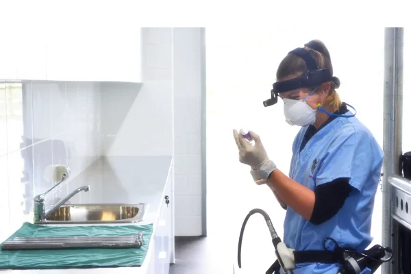 The Importance Of Sedation In Equine Veterinary Dental Care