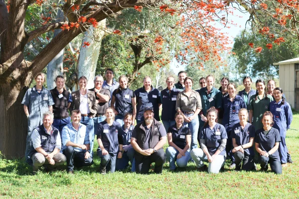 Inside Dental Vet’s Workshop For Equine Vets