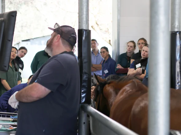 Veterinarian demonstrating equine dental procedures with a monitor while a group of attendees watches in a workshop.